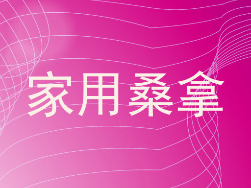 家用桑拿