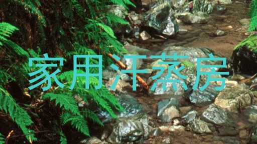 家用汗蒸房