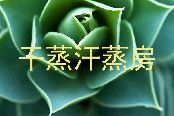 干蒸汗蒸房