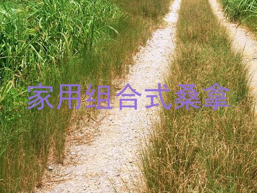 家用组合式桑拿