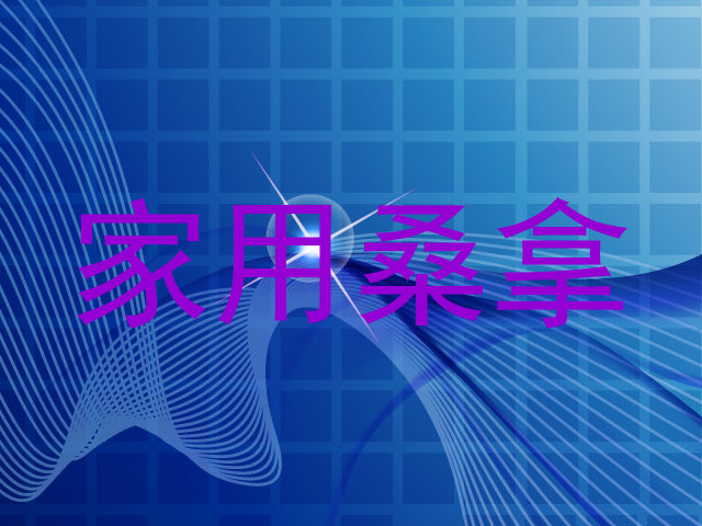 家用桑拿