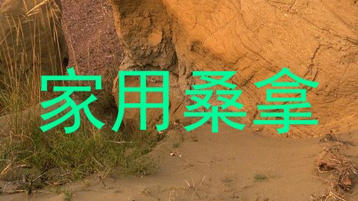家用桑拿