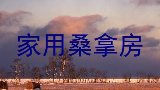 家用桑拿房