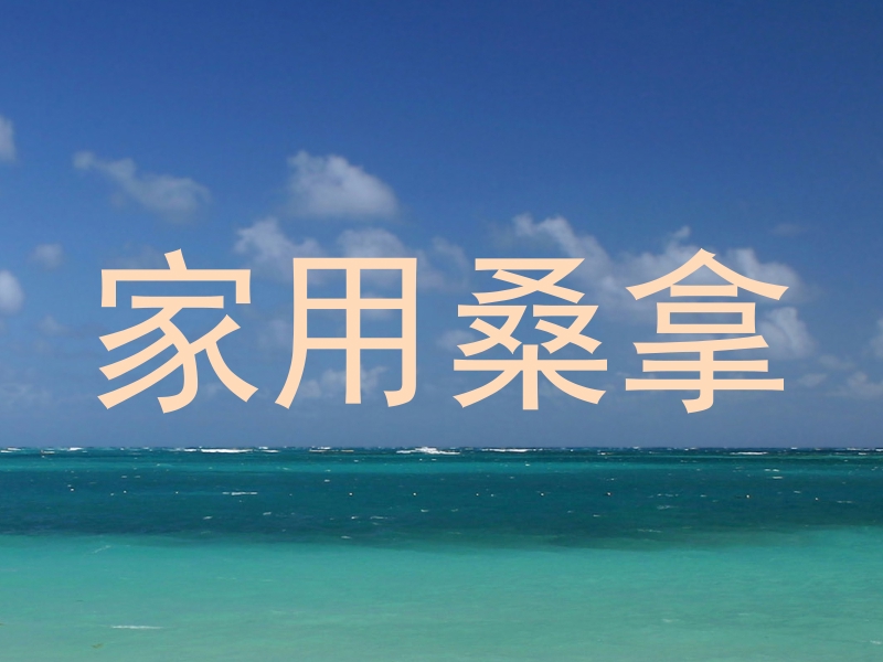 家用桑拿