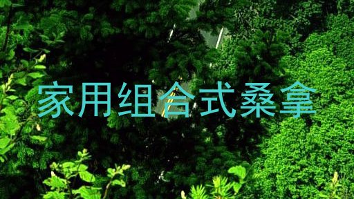 家用组合式桑拿