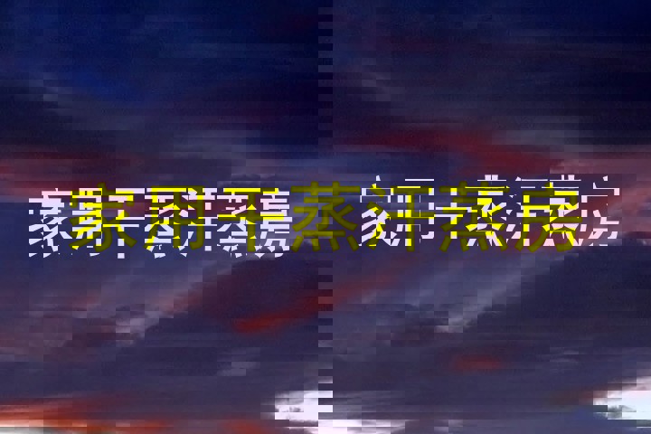 家用干蒸汗蒸房