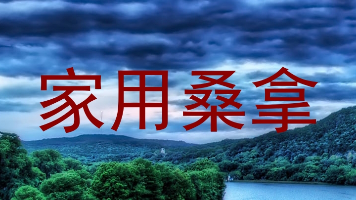 家用桑拿