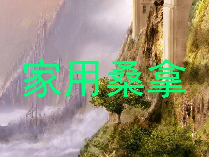 家用桑拿