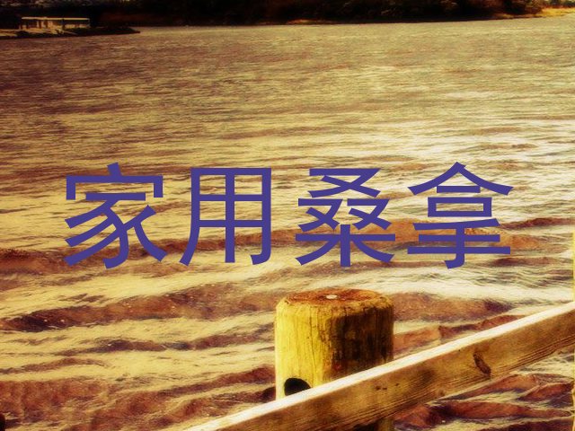 家用桑拿