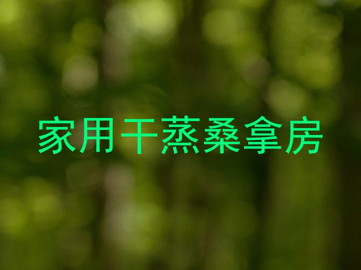 家用干蒸桑拿房