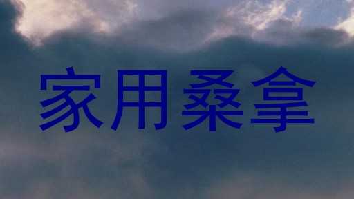 家用桑拿