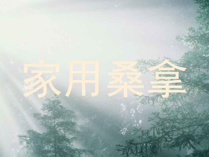 家用桑拿