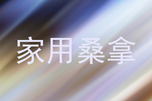 家用桑拿