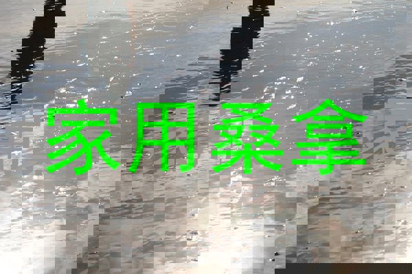 家用桑拿