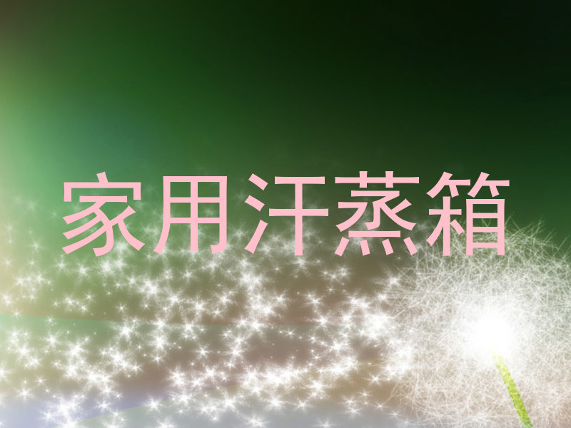 家用汗蒸箱