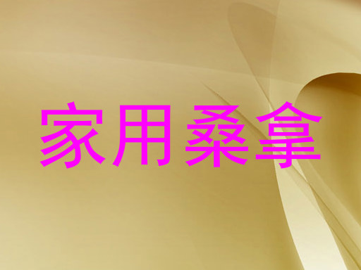 家用桑拿