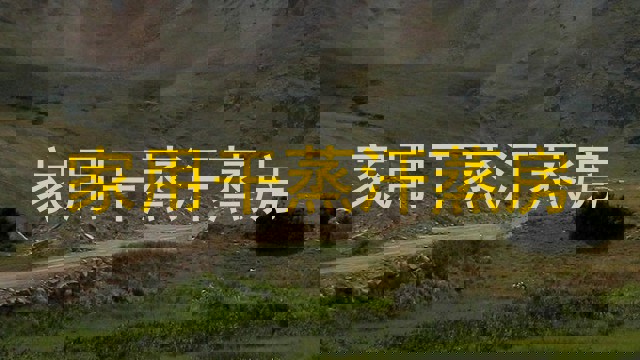 家用干蒸汗蒸房