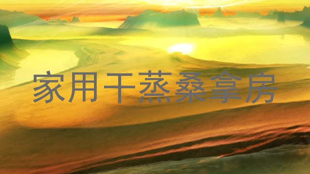 家用干蒸桑拿房