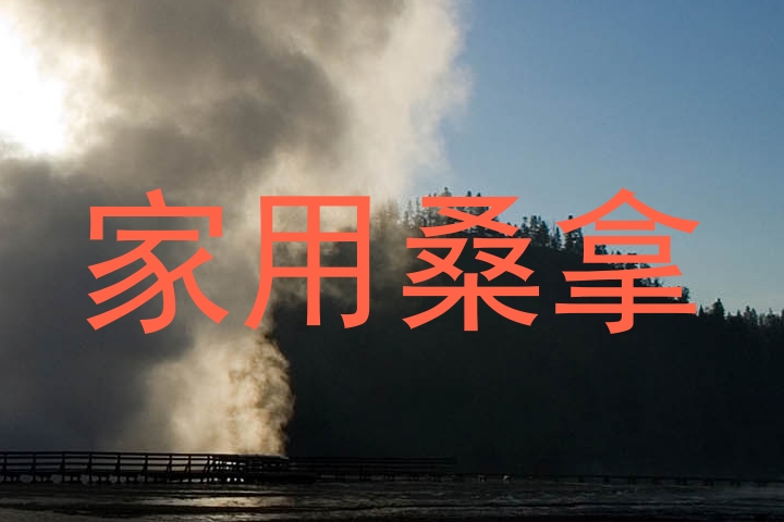 家用桑拿