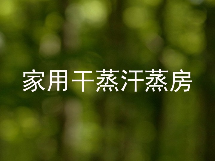 家用干蒸汗蒸房