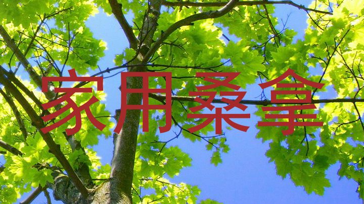 家用桑拿
