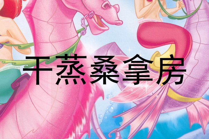 干蒸桑拿房