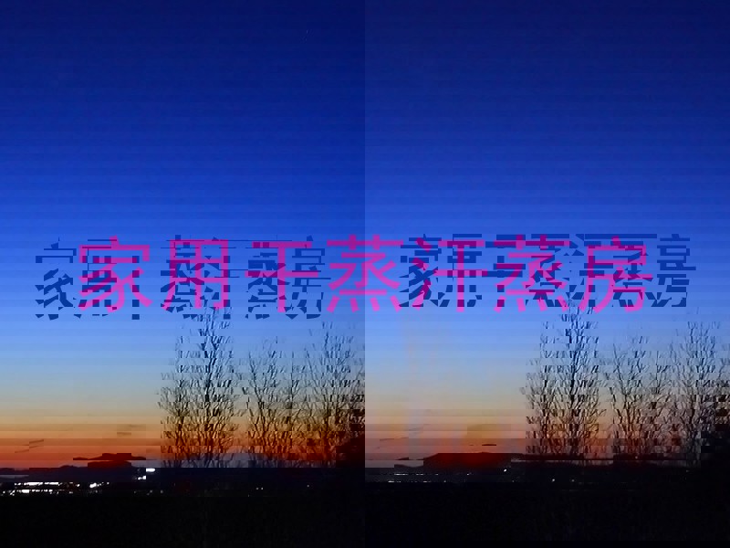 家用干蒸汗蒸房