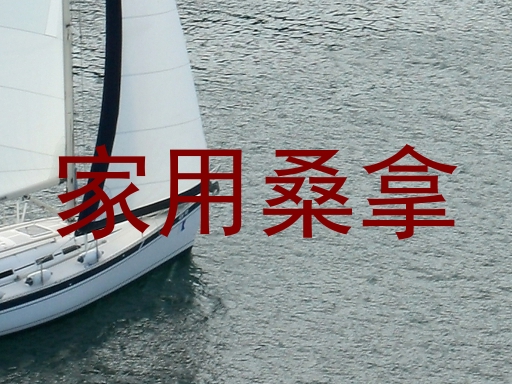 家用桑拿