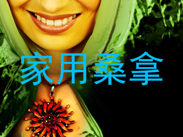 家用桑拿