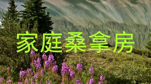 家庭桑拿房