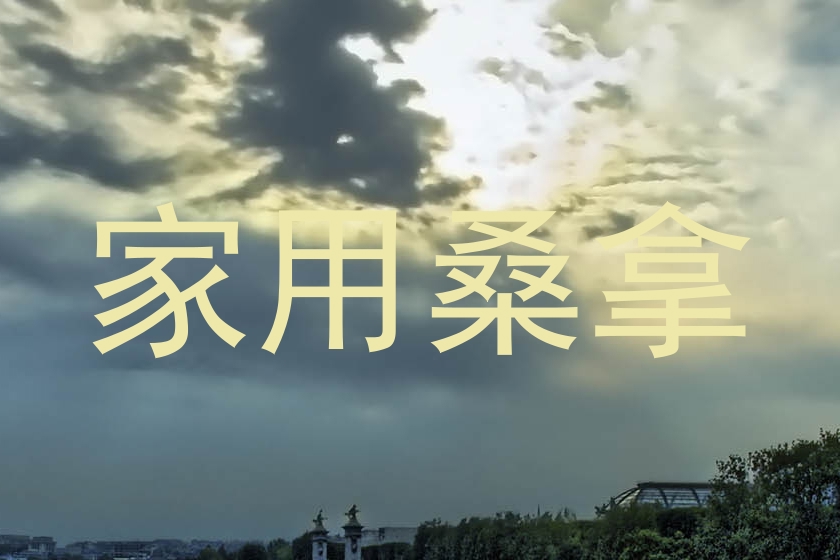 家用桑拿