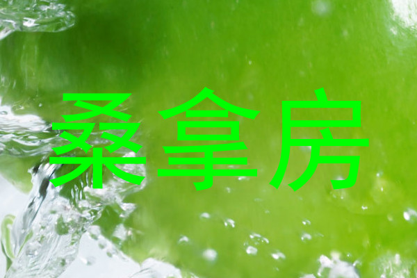 桑拿房
