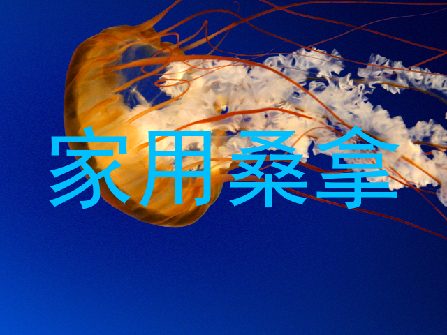 家用桑拿