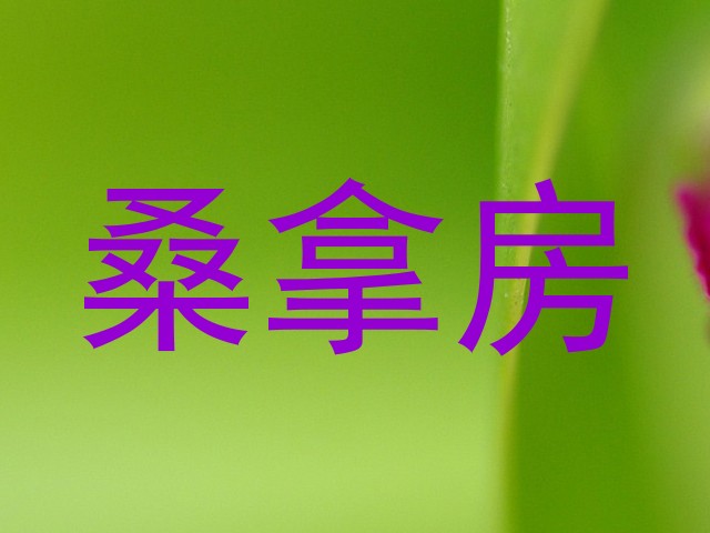 桑拿房