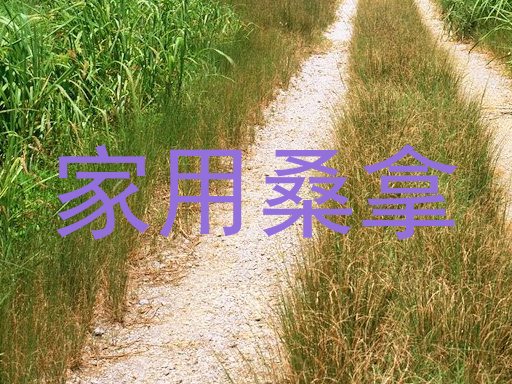家用桑拿