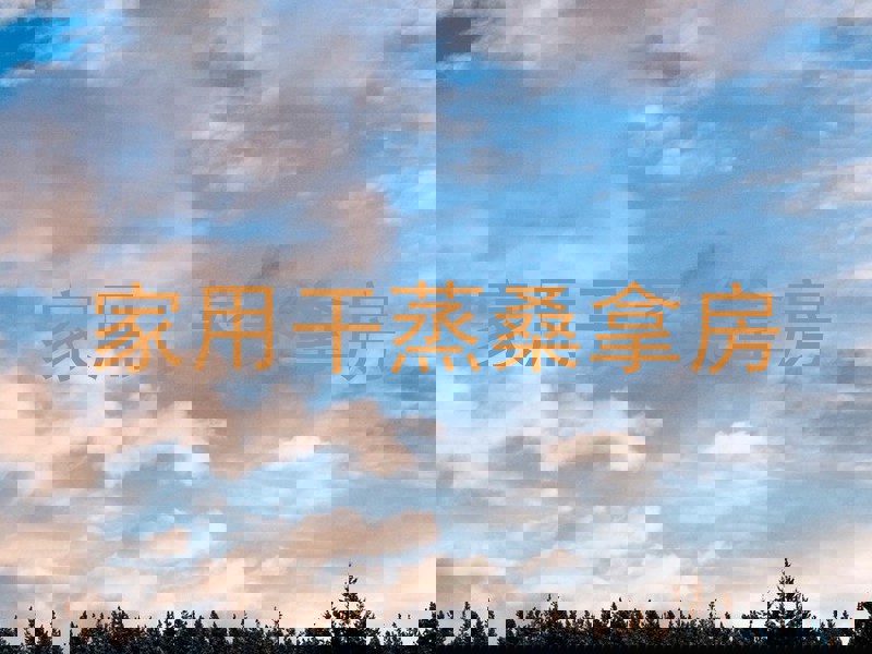 家用干蒸桑拿房
