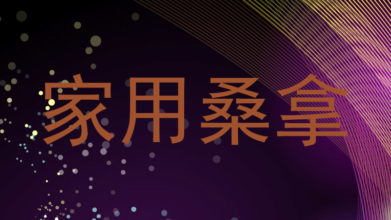 家用桑拿