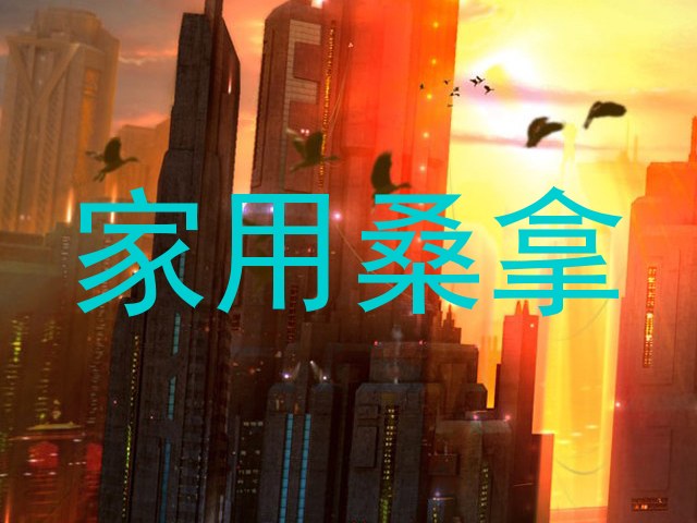 家用桑拿