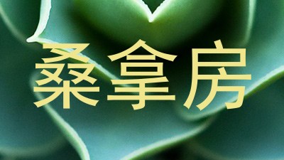 桑拿房