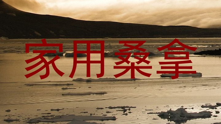 家用桑拿