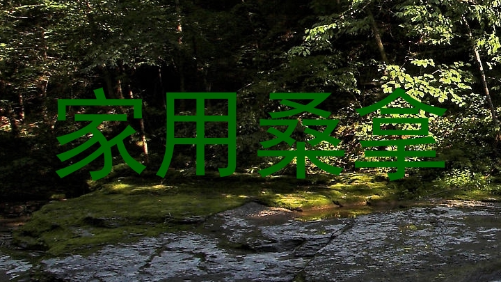 家用桑拿