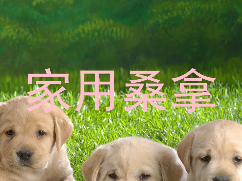 家用桑拿