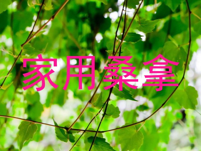家用桑拿