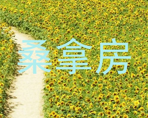 桑拿房