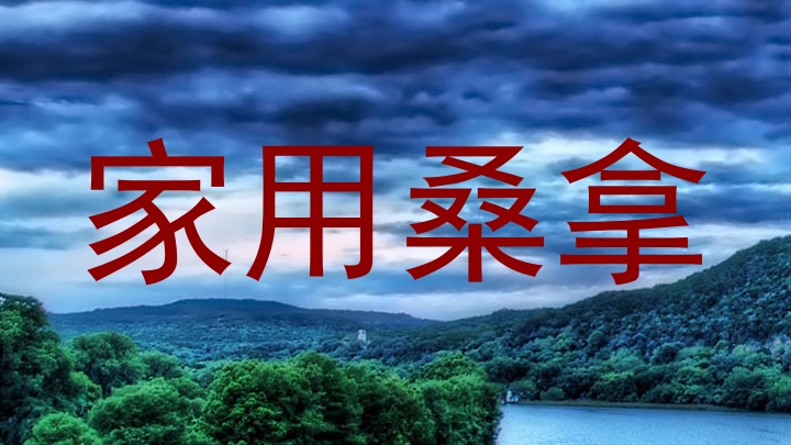 家用桑拿