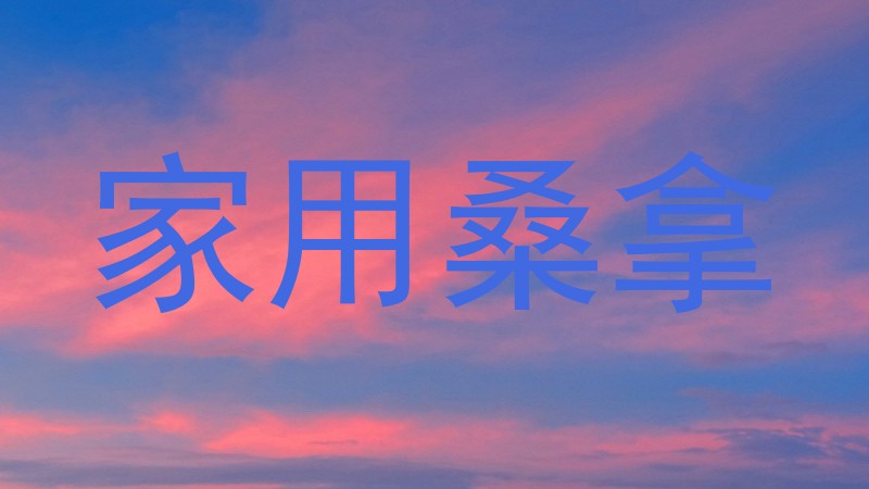 家用桑拿
