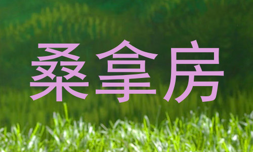 桑拿房