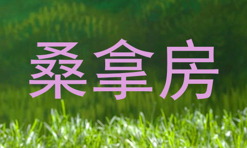 桑拿房