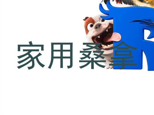 家用桑拿
