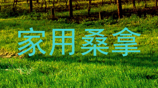 家用桑拿